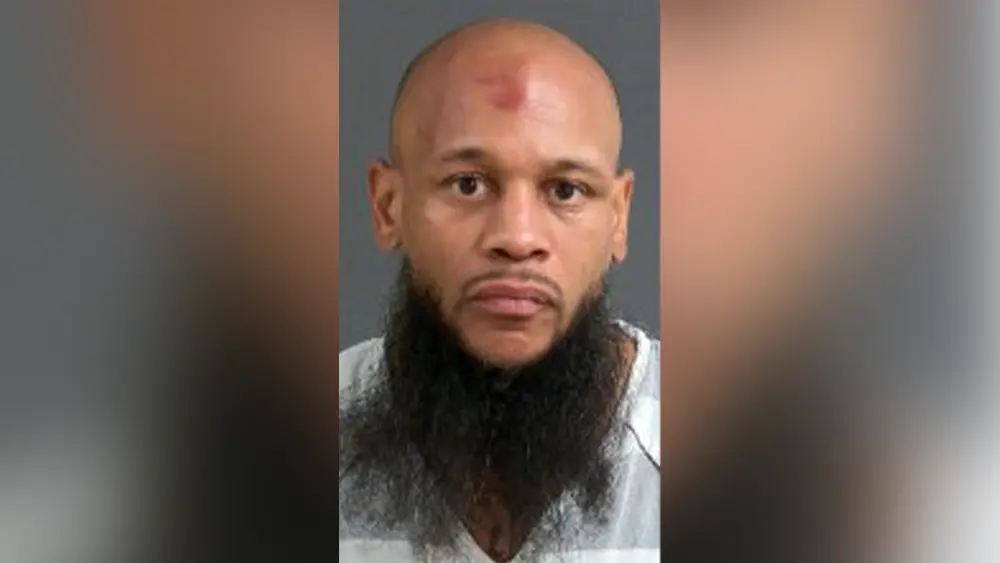 Police: South Carolina man arrested after swinging medieval-style sword in neighborhood