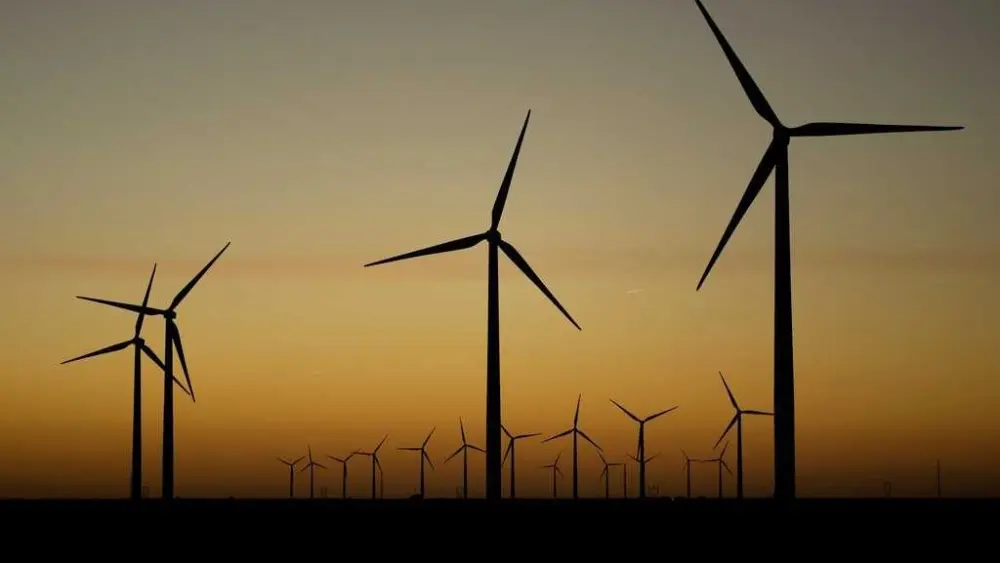 Federal judge throws out Trump order blocking development of wind energy