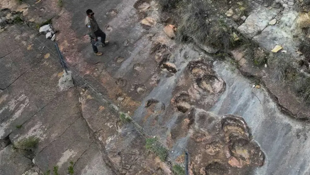 16,000 fossil footprints in central Bolivia reveal dinosaur behavior