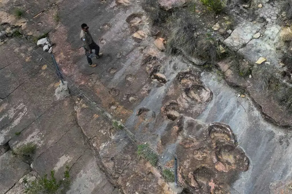 16,000 fossil footprints in central Bolivia reveal dinosaur behavior