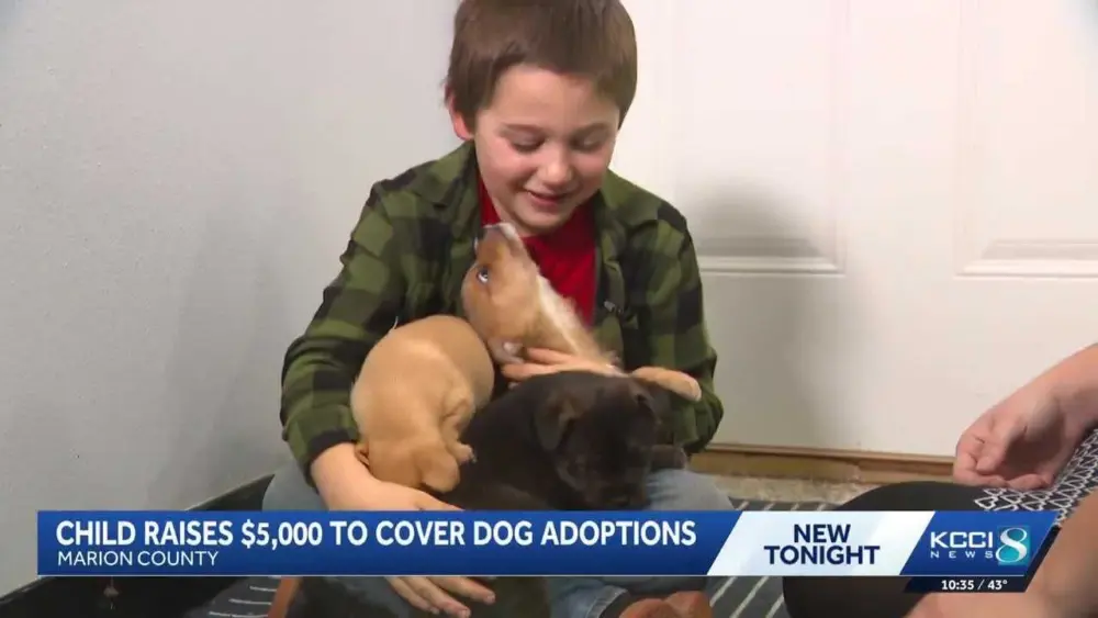 Iowa 5-year-old raises $5,000 to cover dog adoption fees before Christmas