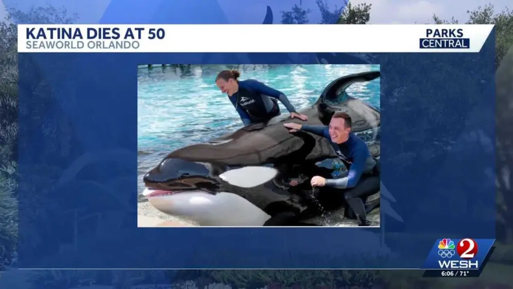 SeaWorld Orlando announces death of oldest killer whale