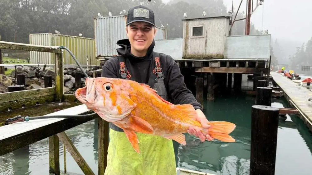 A fisherman may have broken state and world records by catching a 10.25-pound canary rockfish