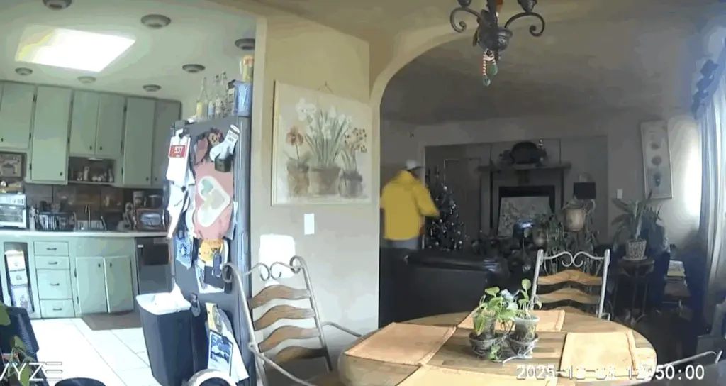 12-year-old boy stops burglar in his home