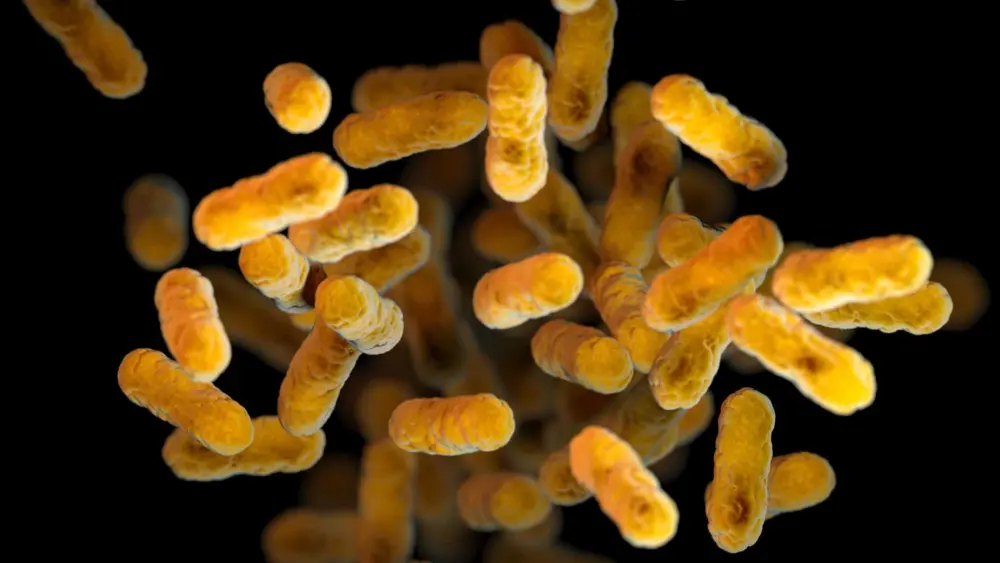 The US has seen nearly 28,000 whooping cough cases this year. Here's what you need to know