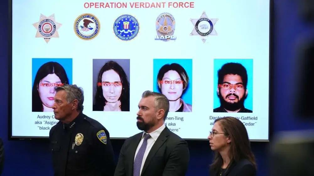 Suspects plead not guilty in Southern California New Year's Eve bombing plot