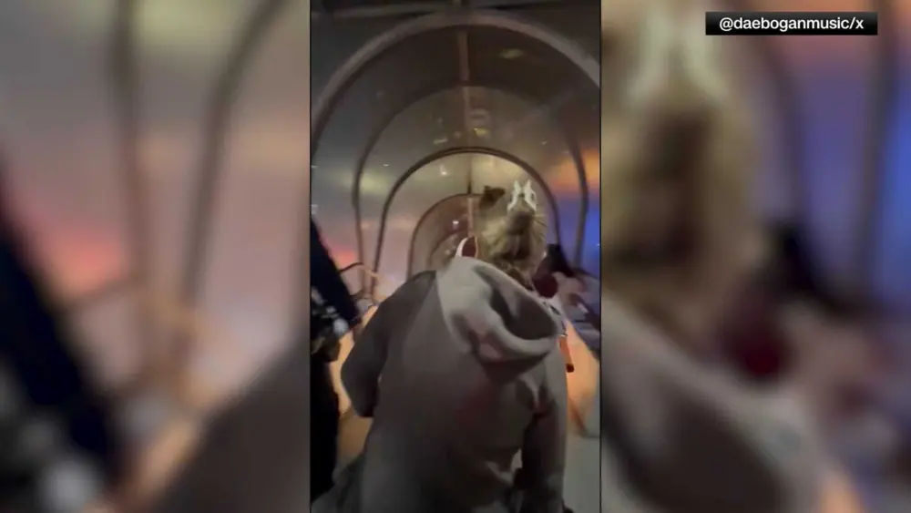 thumb_1920x1080-0000001-49