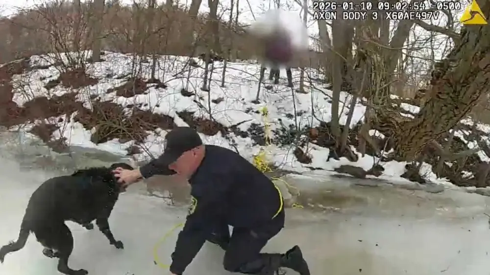 Incredible video shows state troopers rescuing dog that fell through the ice in Northern New York
