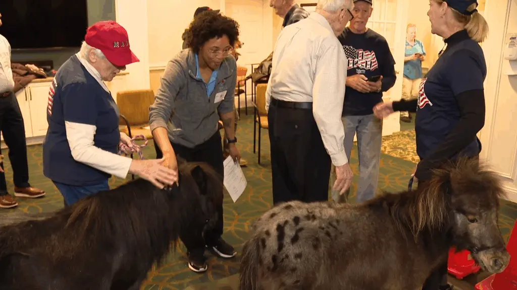 News We Love: Farm matches furry friends with older adults, veterans, first responders