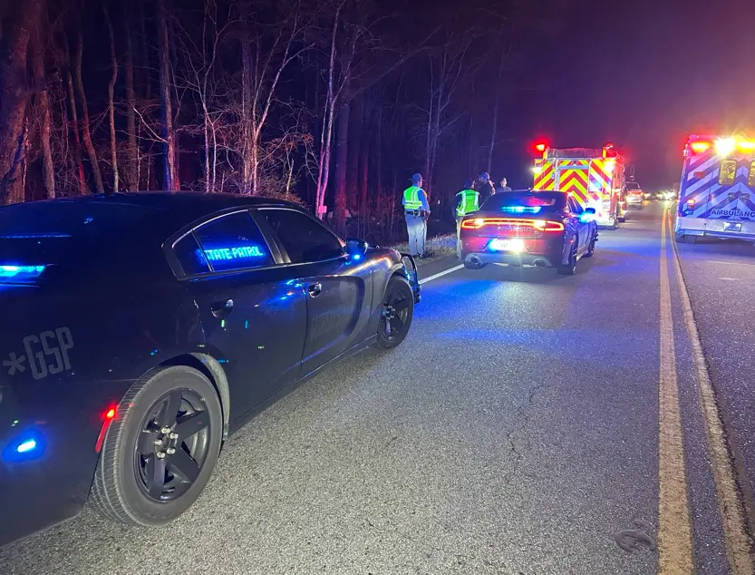 Georgia State Patrol said driver lost control and crashed