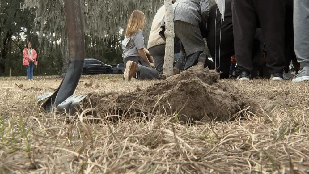 Tree planted for former Savannah mayor Dr. Otis Johnson