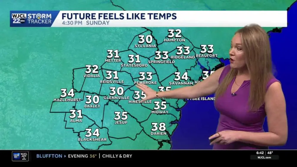 Wintry weather possible for some... A soggy Sunday for all in Savannah and the LowCountry