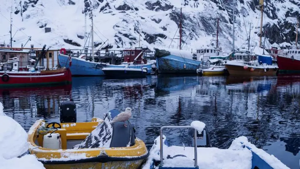 Starmer says a trade war is in no one’s interest after Trump’s Greenland tariff threat
