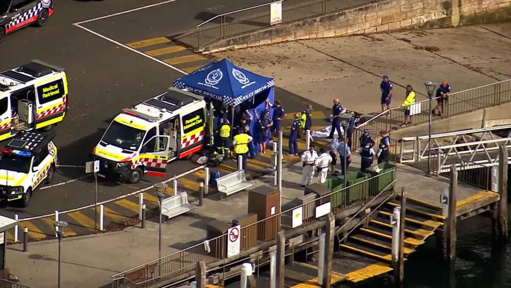 Three Sydney shark attacks in 26 hours leave two in critical condition