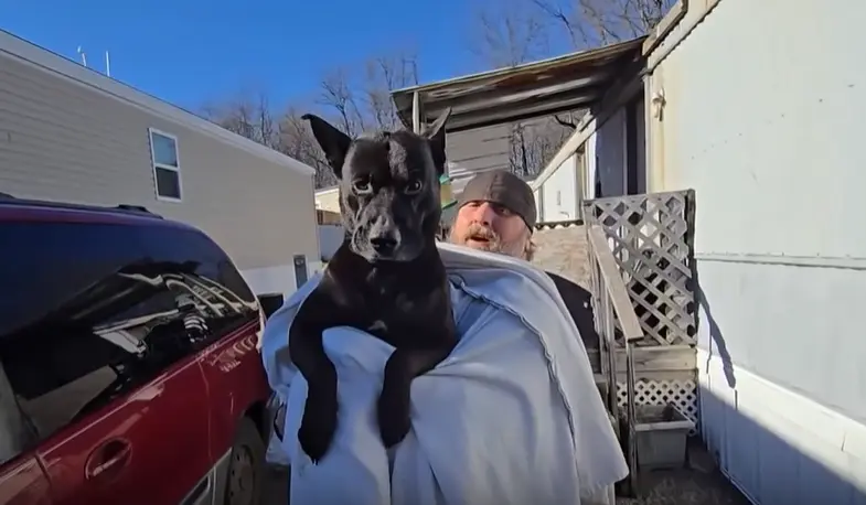 'Thank you so much, brother': Firefighters save dog from frozen pond