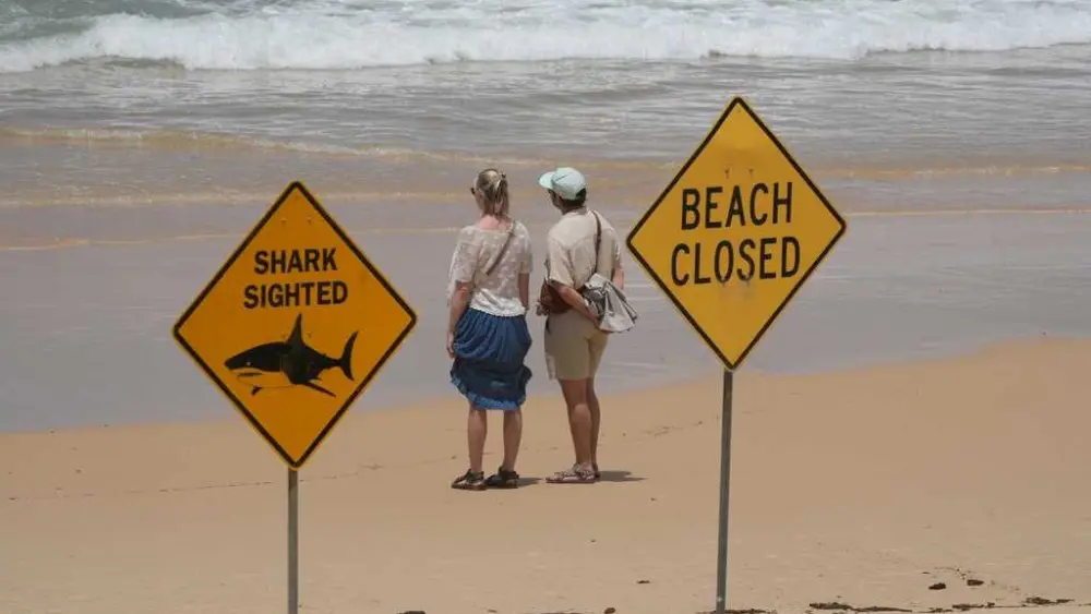Surfer bitten in 4th shark attack off Australia's east coast in 3 days