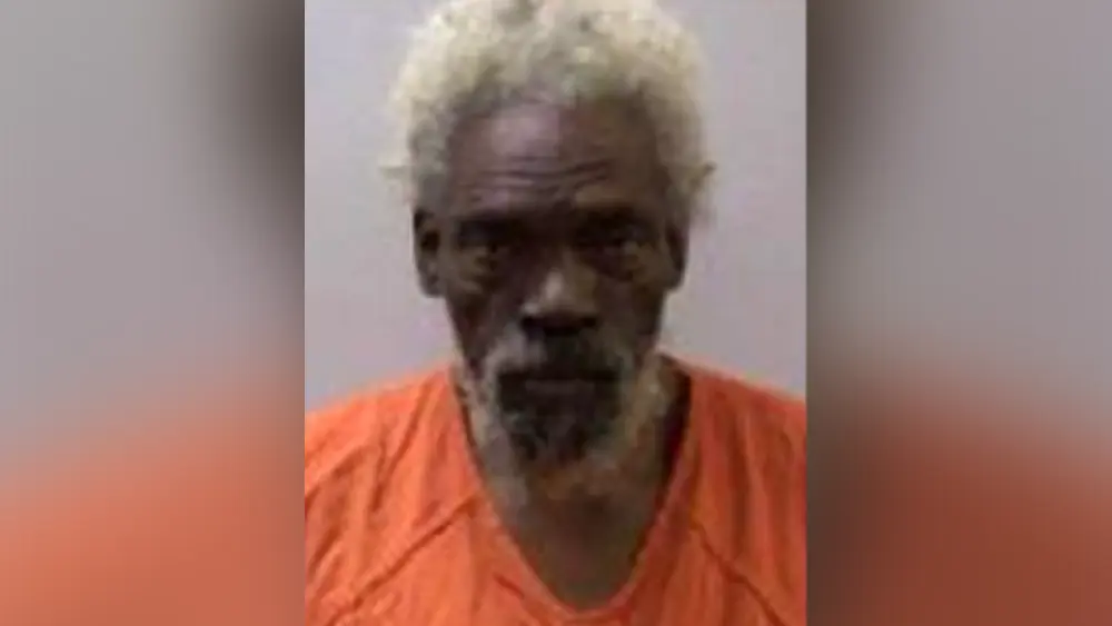Police in South Carolina arrest repeat panhandler after female officer injured