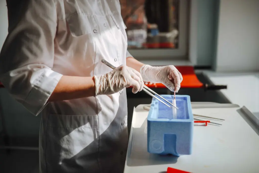 Florida couple sues IVF clinic after DNA test reveals baby isn’t theirs