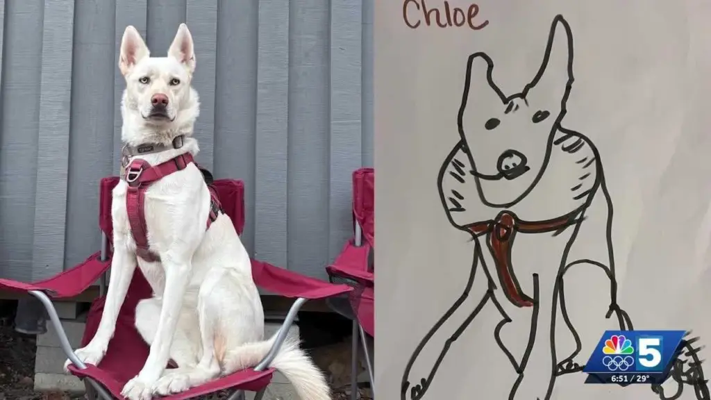 Animal shelter turns bad art into support with intentionally ugly pet portraits