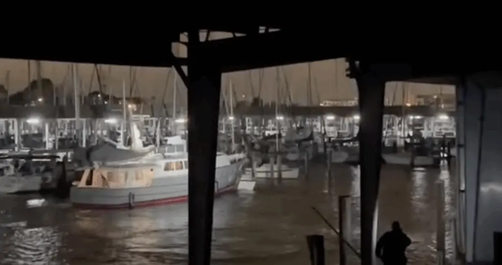 Wild video: Man attempts to steal yacht, crashes into other boats at marina