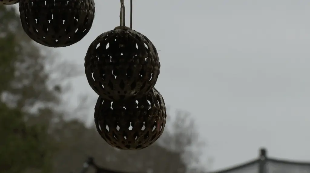 Savannah survivor urges Georgia domestic violence registry