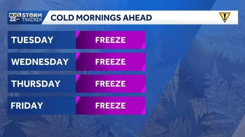 capture-4-jpg-6976ca6e7b516