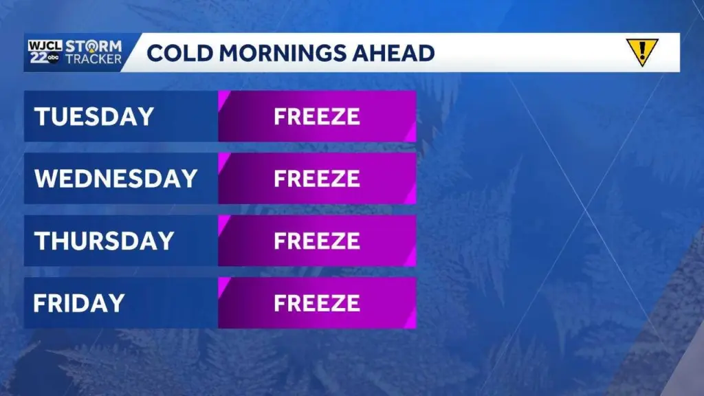 cold-mornings-697819aec91f8