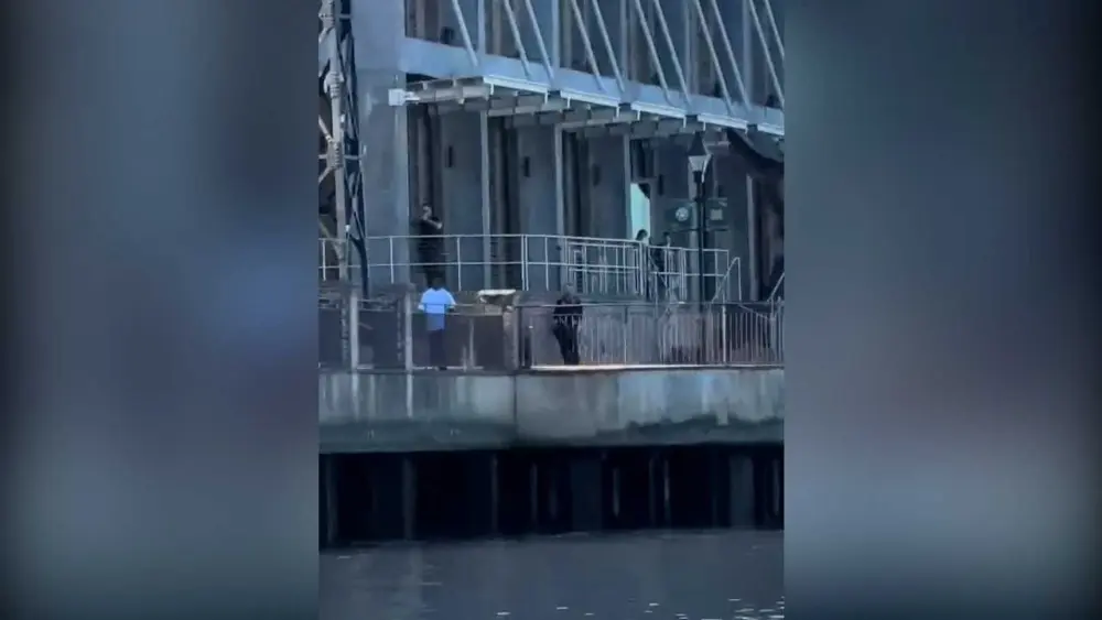 Questions raised about gun access after Savannah police kill man on River Street