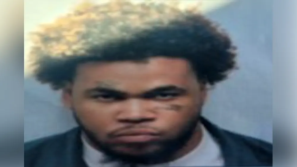 Investigators: Savannah serial stalker jailed for trying to kidnap a stranger