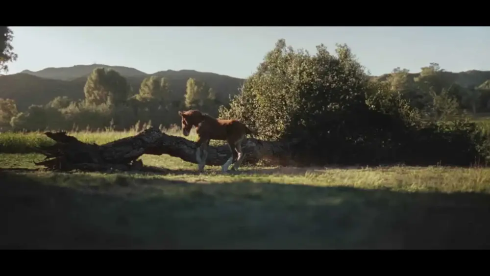 thumb_1920x1080-0000001-61