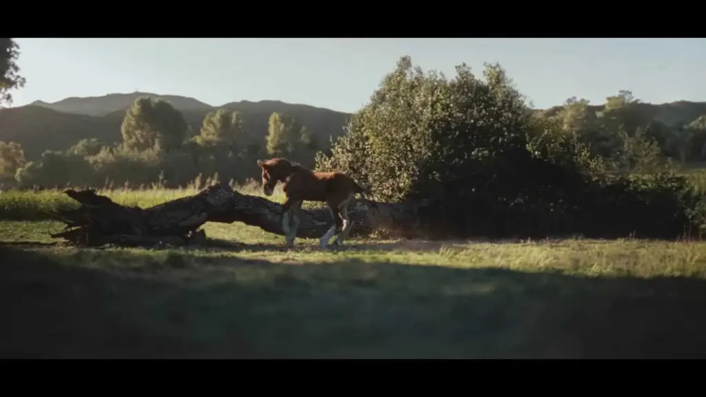 thumb_1920x1080-0000001-61