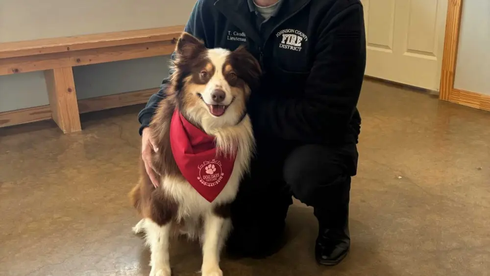 News We Love: Dog credited with saving homeowner during late-night house fire in Missouri