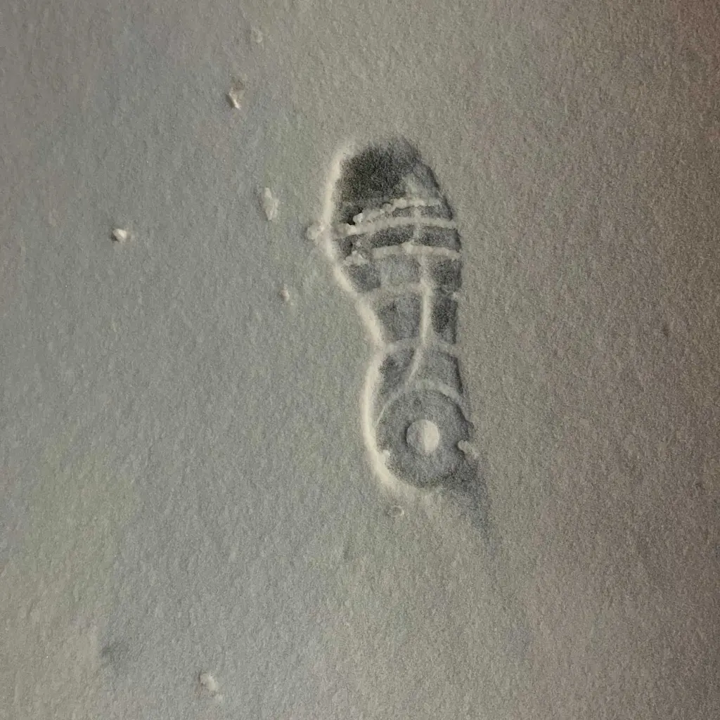 Snowy footprints lead police to alleged vape thief