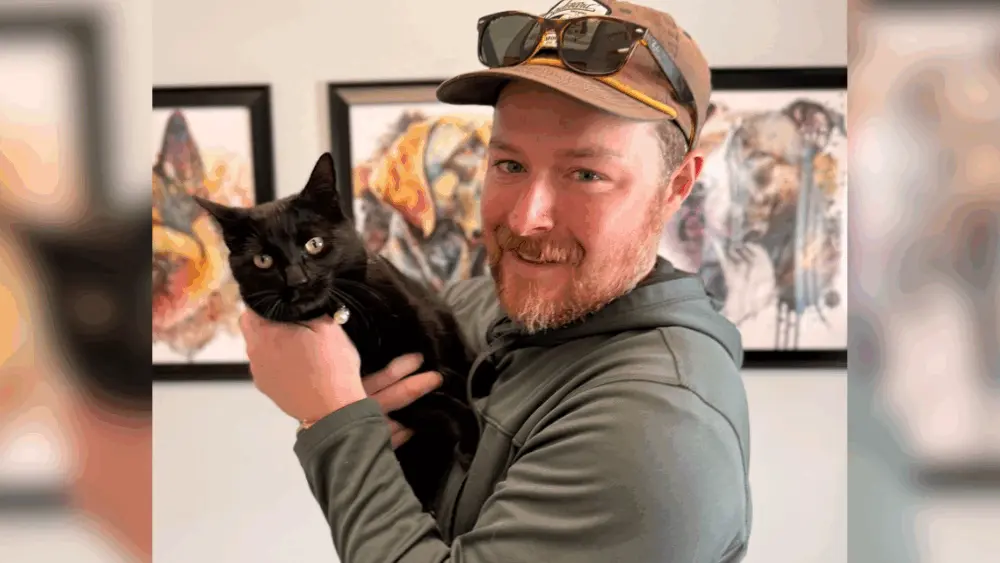 Cat missing for nearly a year found in Missouri, reunited with owner thanks to microchip