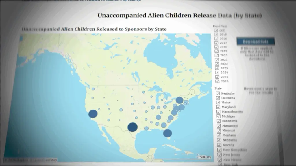 What happens when immigrant children are taken into federal custody?