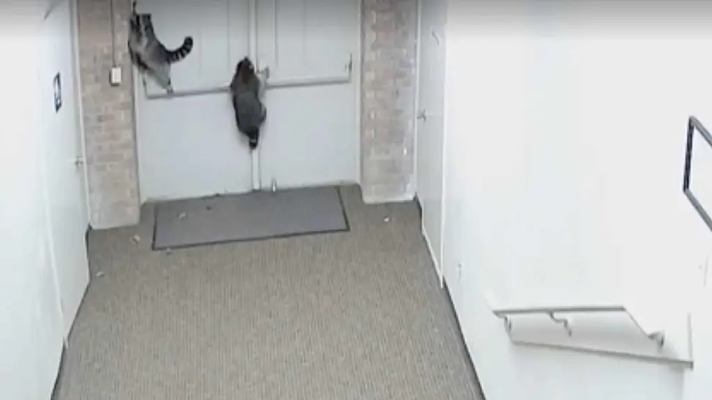 Blood-covered offices spark break-in fears at Oklahoma nonprofit, then a wild twist emerges