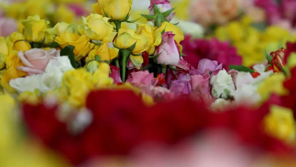 The long trip your flowers will make before you can say 'I love you' this Valentine's Day