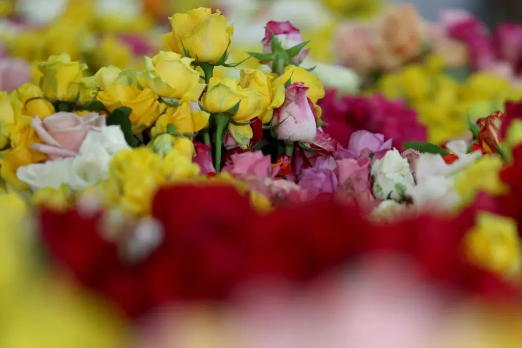 The long trip your flowers will make before you can say 'I love you' this Valentine's Day