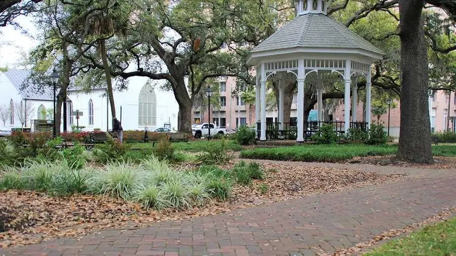 Downtown Savannah square may hold more than 80 unmarked graves, radar survey finds