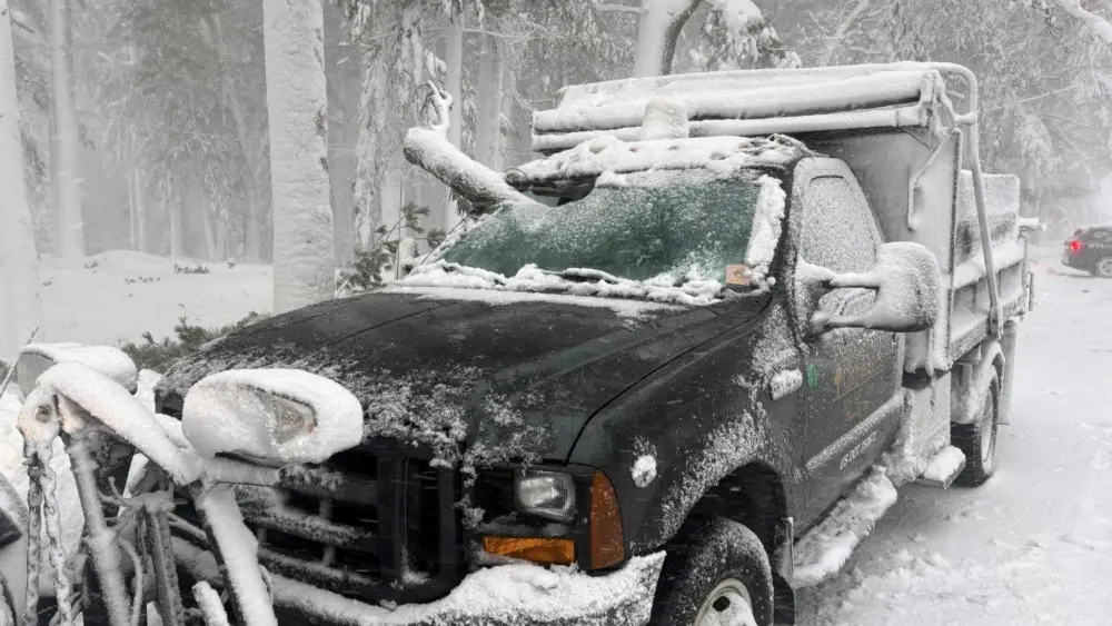 Tree branch smashes through truck windshield in Massachusetts, lands between driver's legs