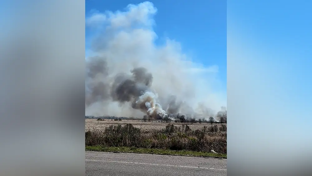 Massive fire near Georgia-South Carolina state line seen for miles