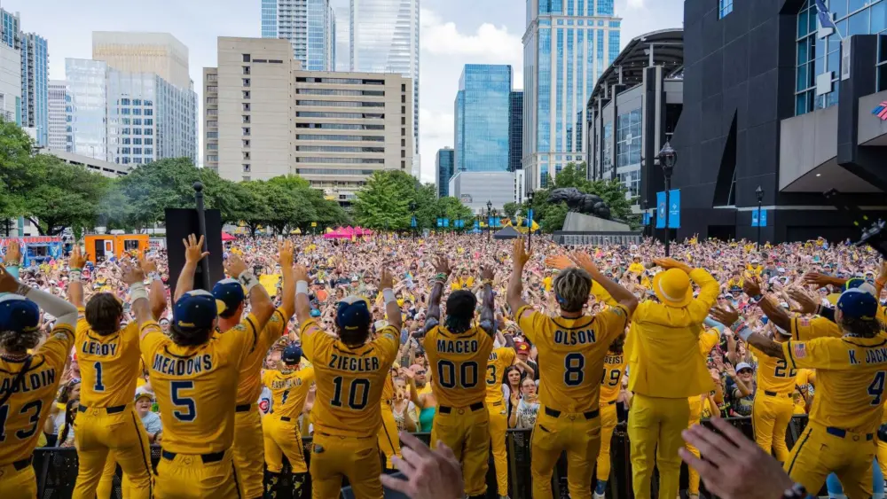 banana-699ee9700ffed