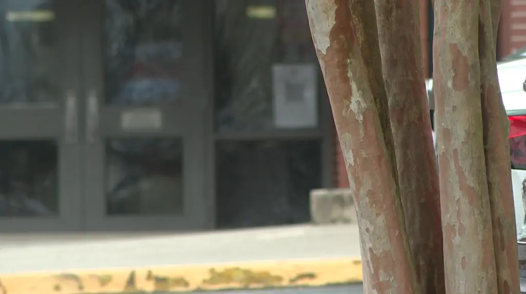 Georgia could be first state to mandate school weapons detectors