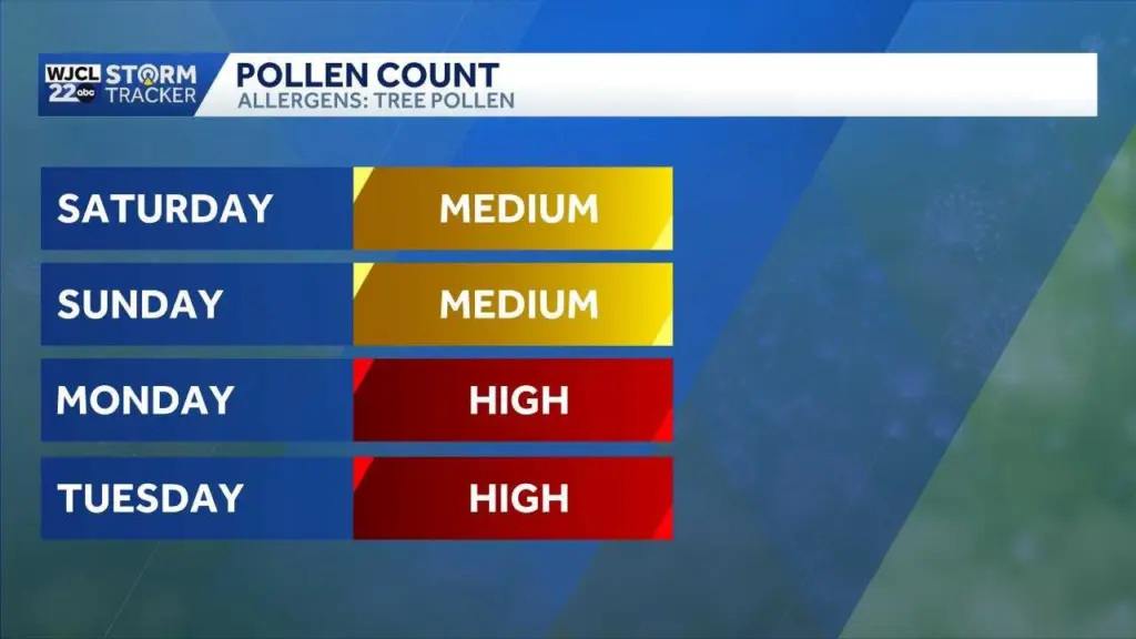 pollen-69a2548e333a5