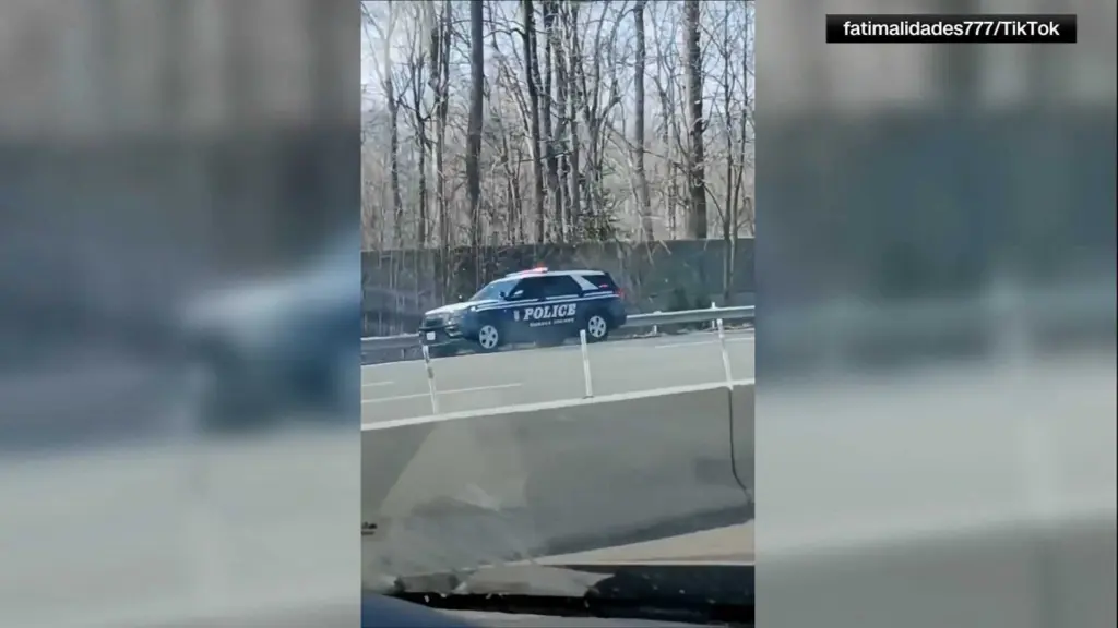 Man killed by state trooper after fatally stabbing woman and dog in road rage incident