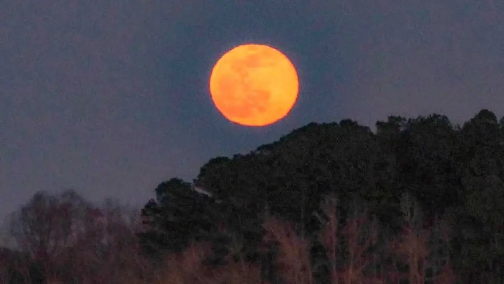 Total Lunar Eclipse: When you could spot Tuesday's 'Blood Moon' in the Savannah area