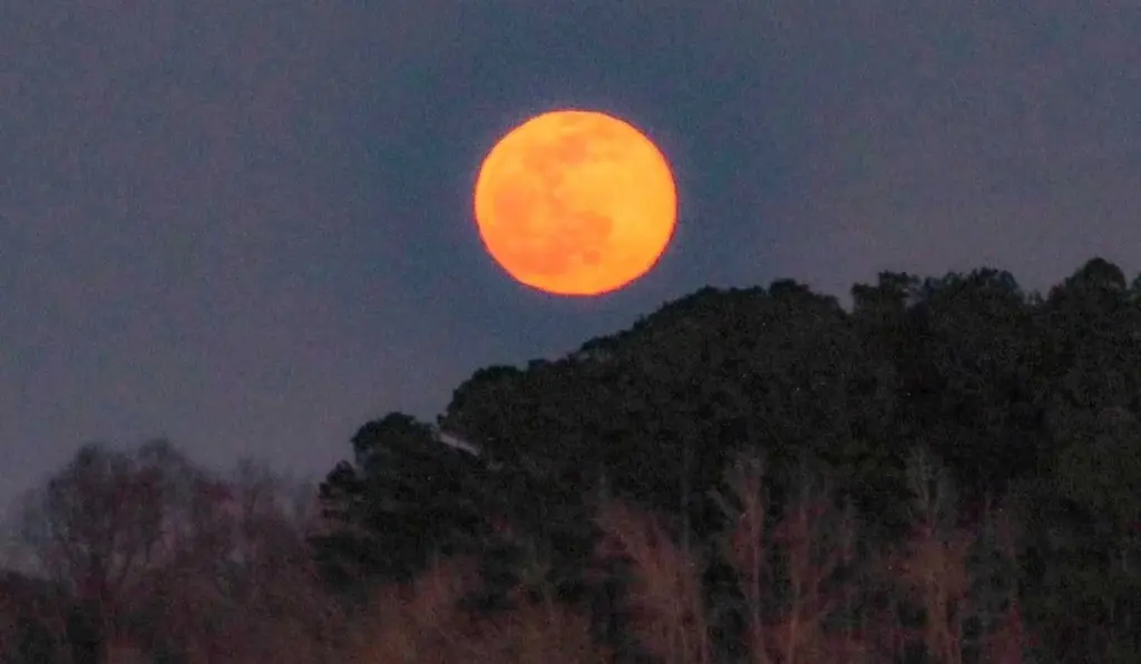 Total Lunar Eclipse: When you could spot Tuesday's 'Blood Moon' in the Savannah area