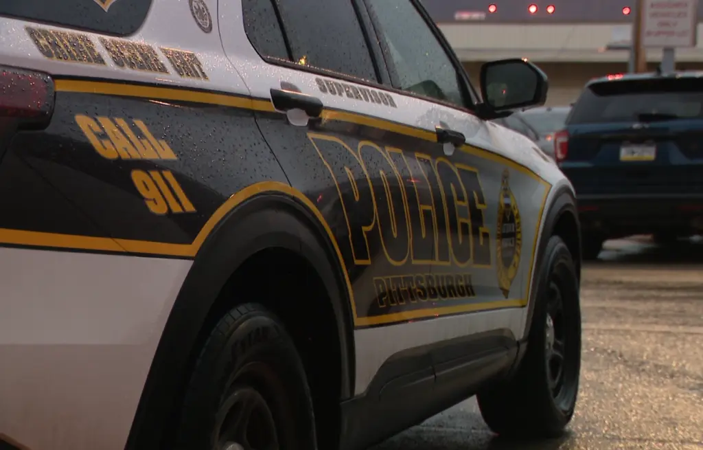 Pittsburgh police accused of unlawfully using Taser on and arresting man with autism