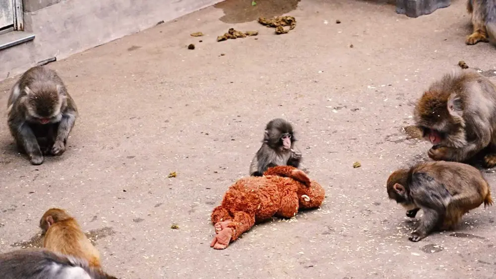 thumb_1920x1080-0000001-84