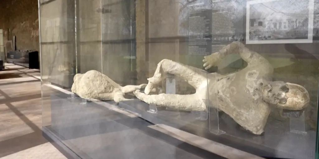 A new exhibit shows plaster casts of Pompeii victims